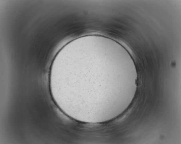 X0000100351151200807031808