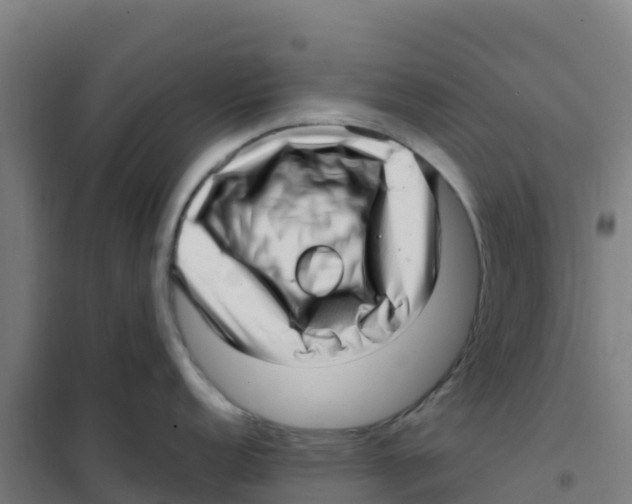 X0000100351152200807031808