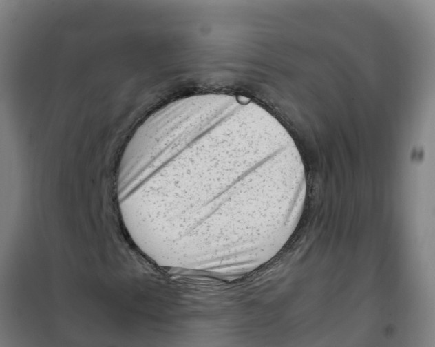 X0000100351153200807031807