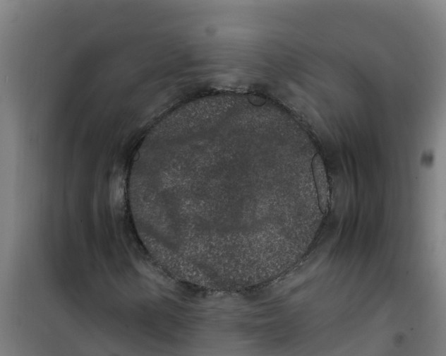 X0000100351154200807031807