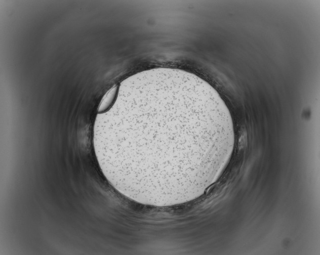 X0000100351156200807031807