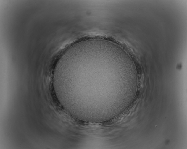 X0000100351157200807031807