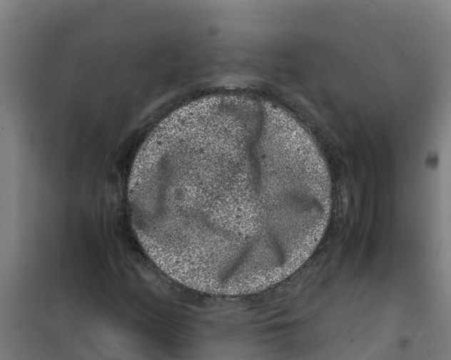 X0000100351158200807031807