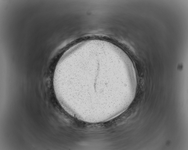 X0000100351159200807031807