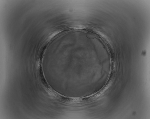 X0000100351161200807031807