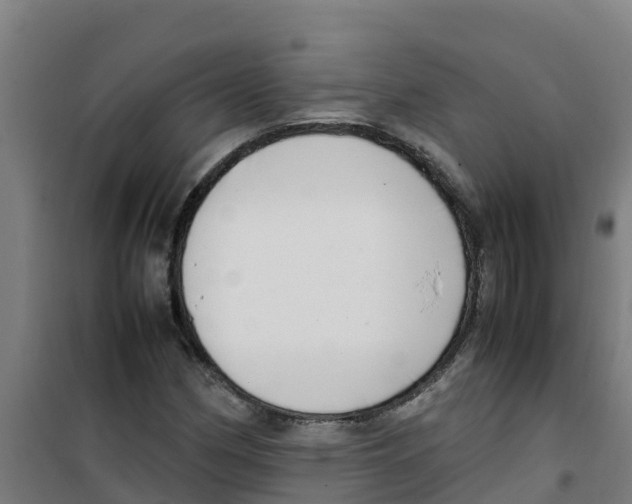 X0000100351162200807031807