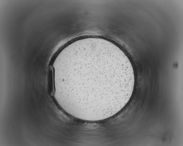 X0000100351168200807031807