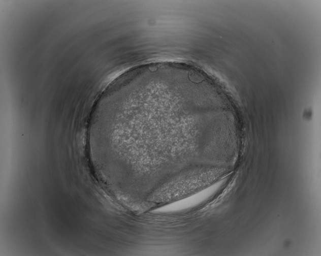 X0000100351169200807031807