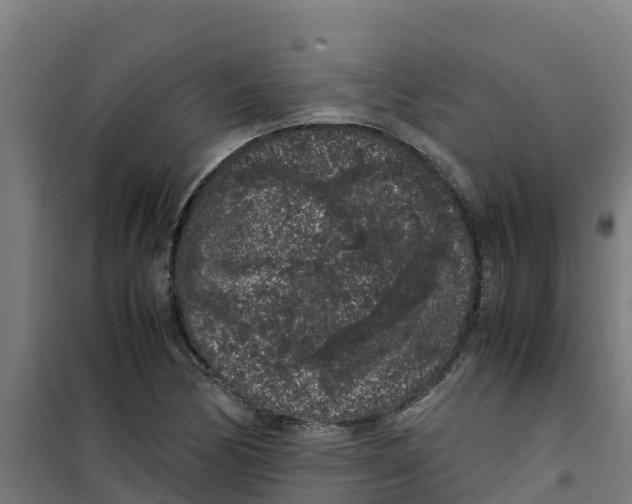 X0000100351170200807031807