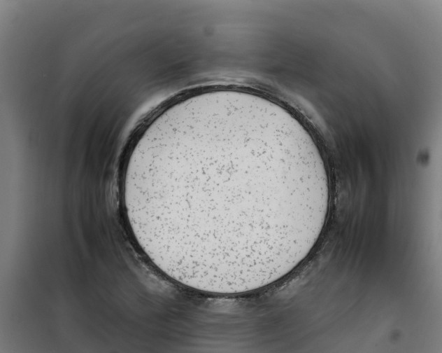 X0000100351172200807031807