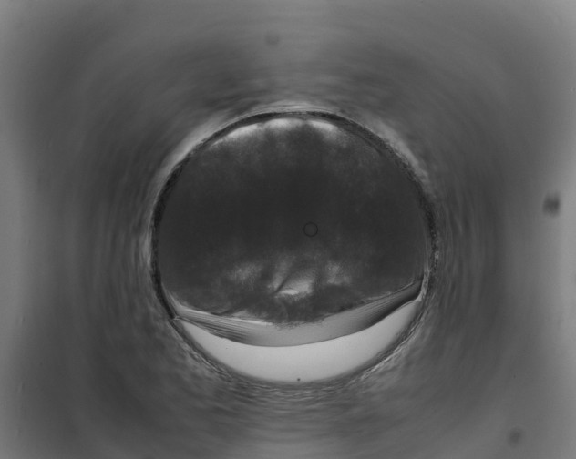 X0000100351173200807031807