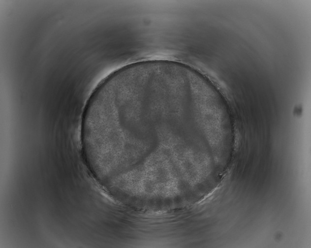 X0000100351174200807031807