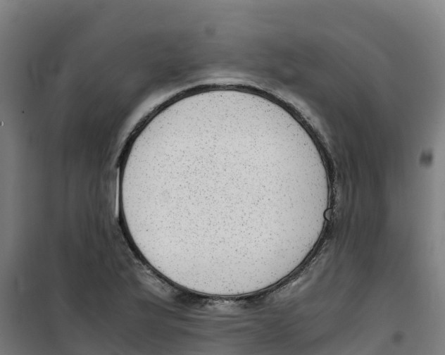 X0000100351175200807031807