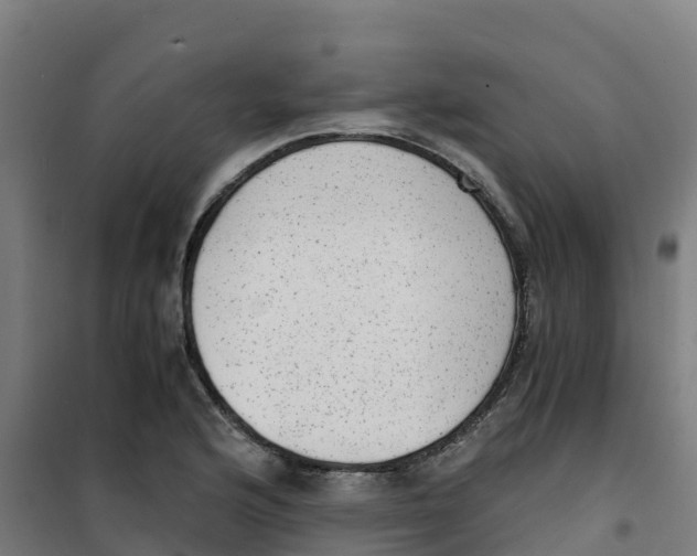 X0000100351176200807031807