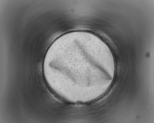 X0000100351177200807031807