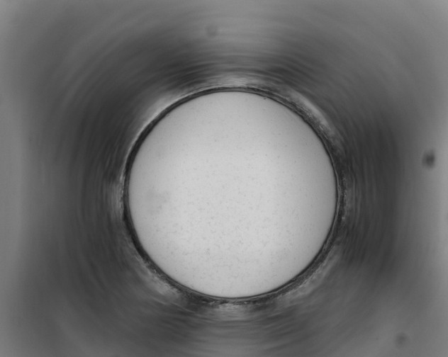 X0000100351178200807031807