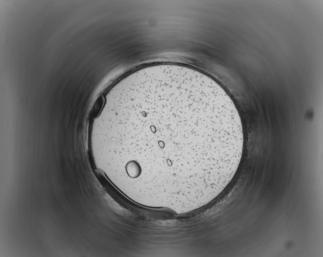 X0000100351180200807031806