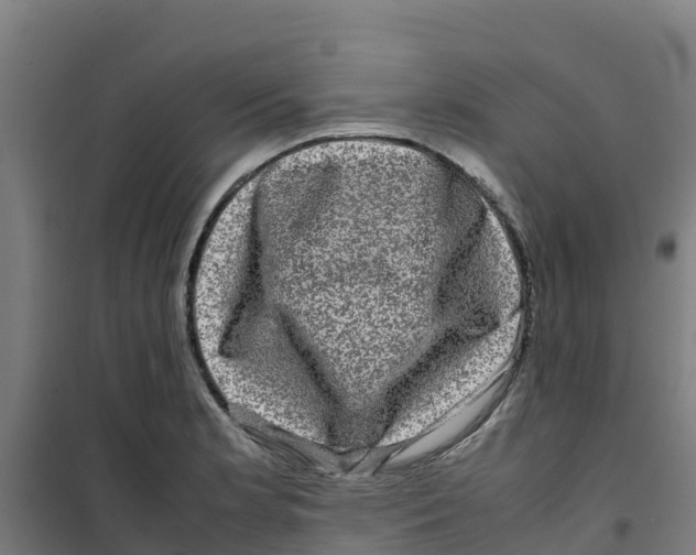 X0000100351181200807031806