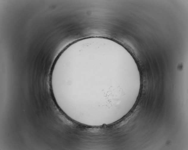 X0000100351182200807031806