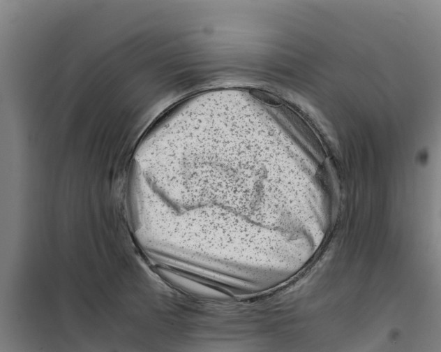 X0000100351185200807031806