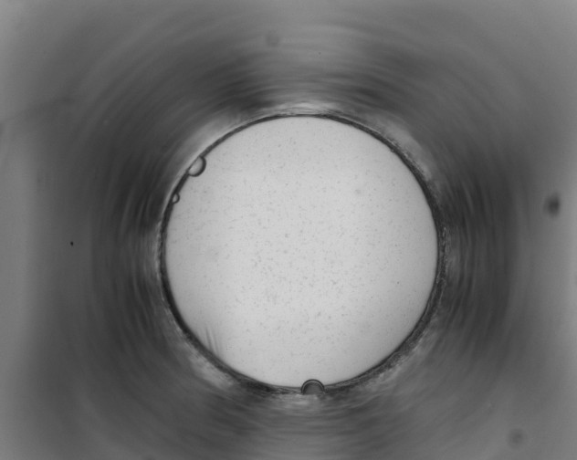 X0000100351186200807031806