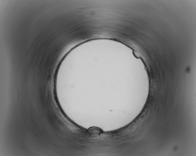 X0000100351187200807031806