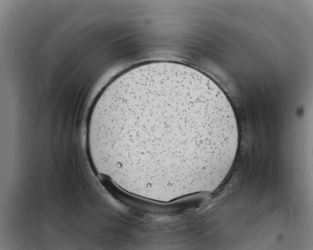 X0000100351188200807031806