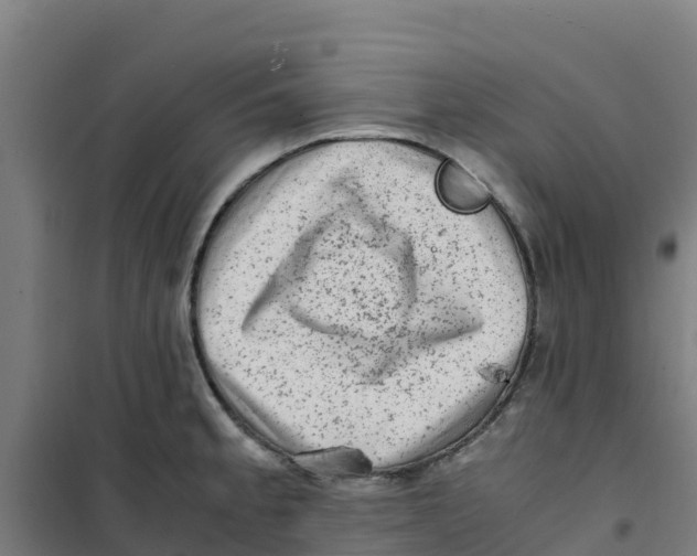 X0000100351189200807031806