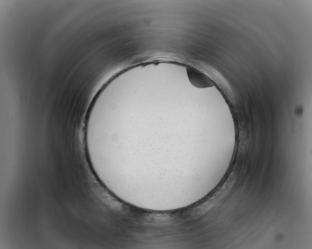 X0000100351190200807031806