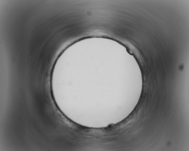 X0000100351191200807031806