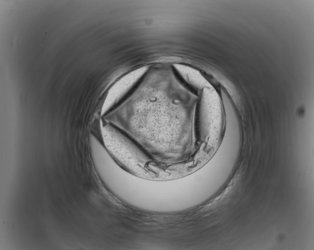 X0000100351193200807031806