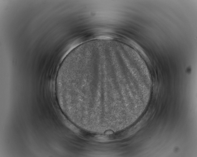 X0000100351194200807031806