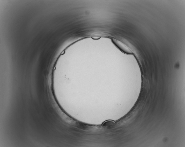 X0000100351195200807031806