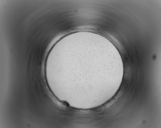 X0000100351196200807031806