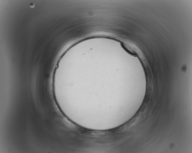 X0000100351199200807031806