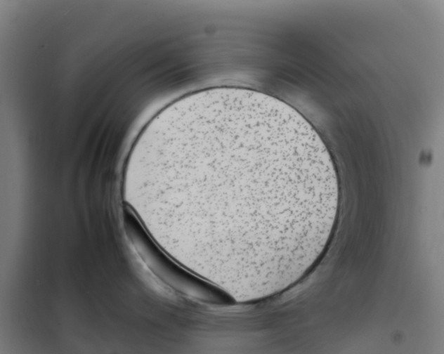 X0000100351200200807031806