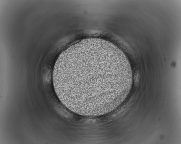 X0000100351204200807031805