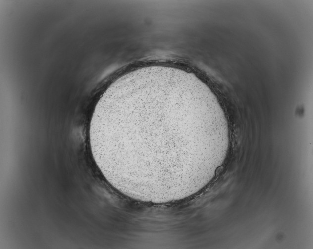 X0000100351206200807031805