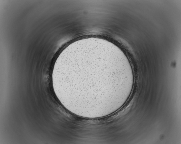 X0000100351210200807031805