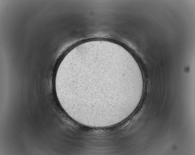 X0000100351214200807031806