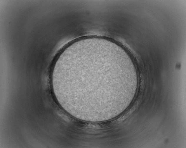 X0000100351215200807031806