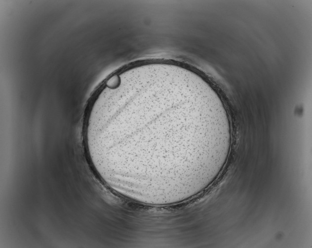 X0000100351216200807031806