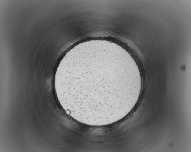 X0000100351217200807031806