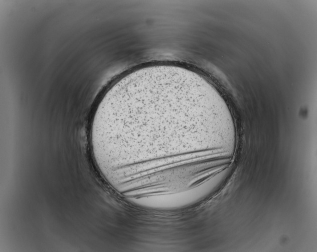 X0000100351218200807031806