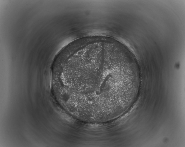 X0000100351219200807031806