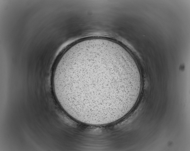 X0000100351222200807031806