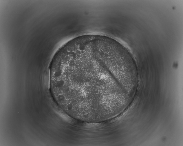 X0000100351223200807031806