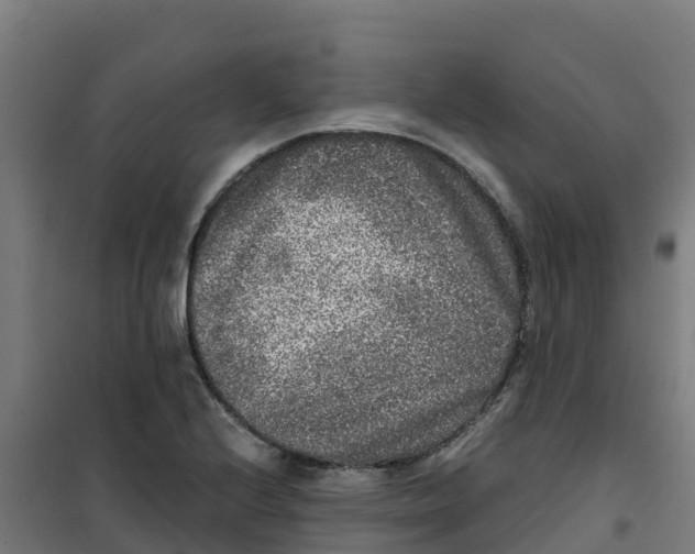 X0000100351224200807031806