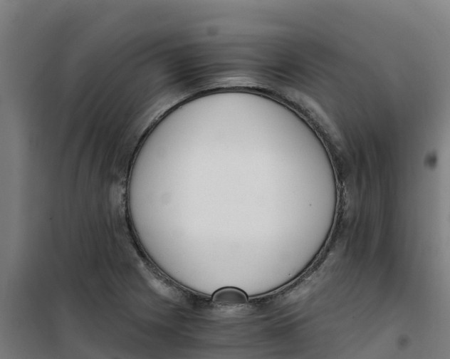 X0000100351225200807031806