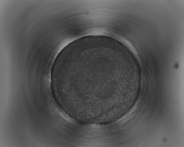 X0000100351226200807031806